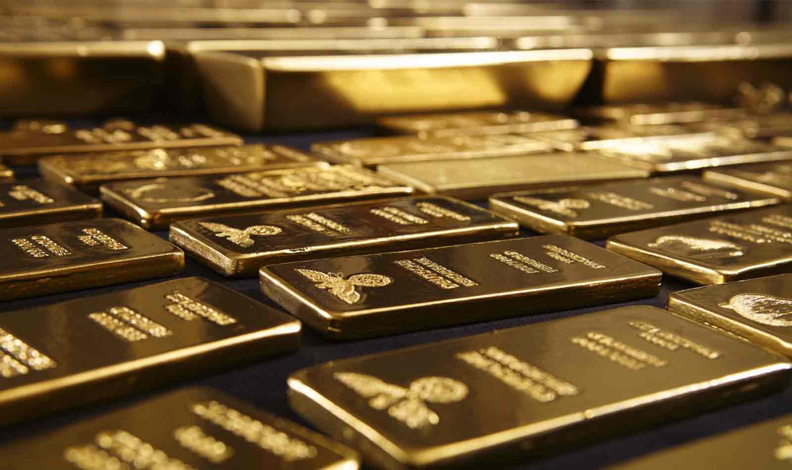 Interview with Dongyuan Zhang – 1st Place Stage 6 with 176% Return