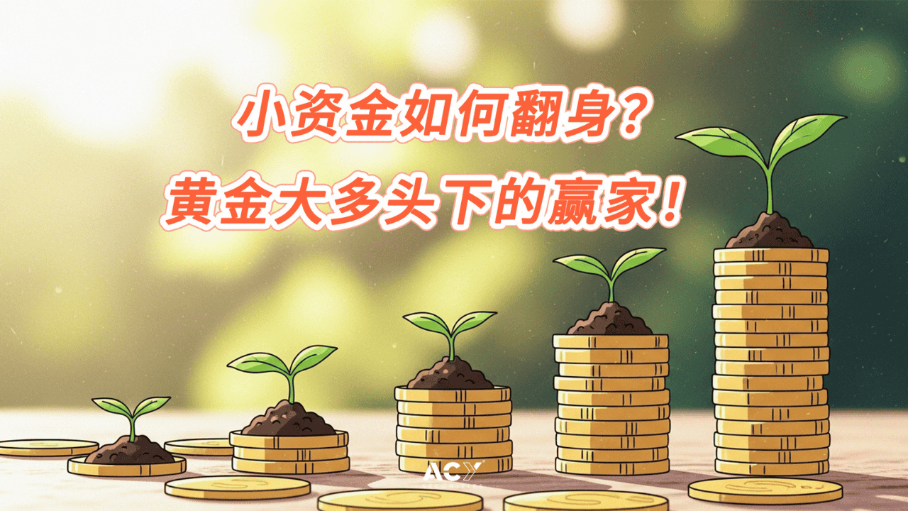 小资金如何翻身?黄金大多头下的赢家!